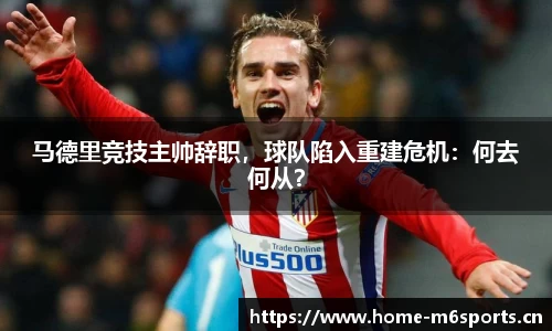 米乐m6体育平台